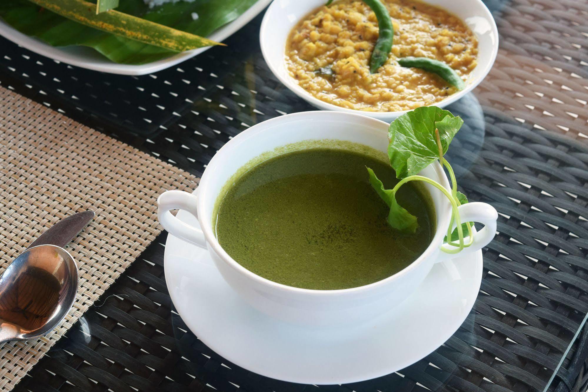 Terrace & होटल 4*