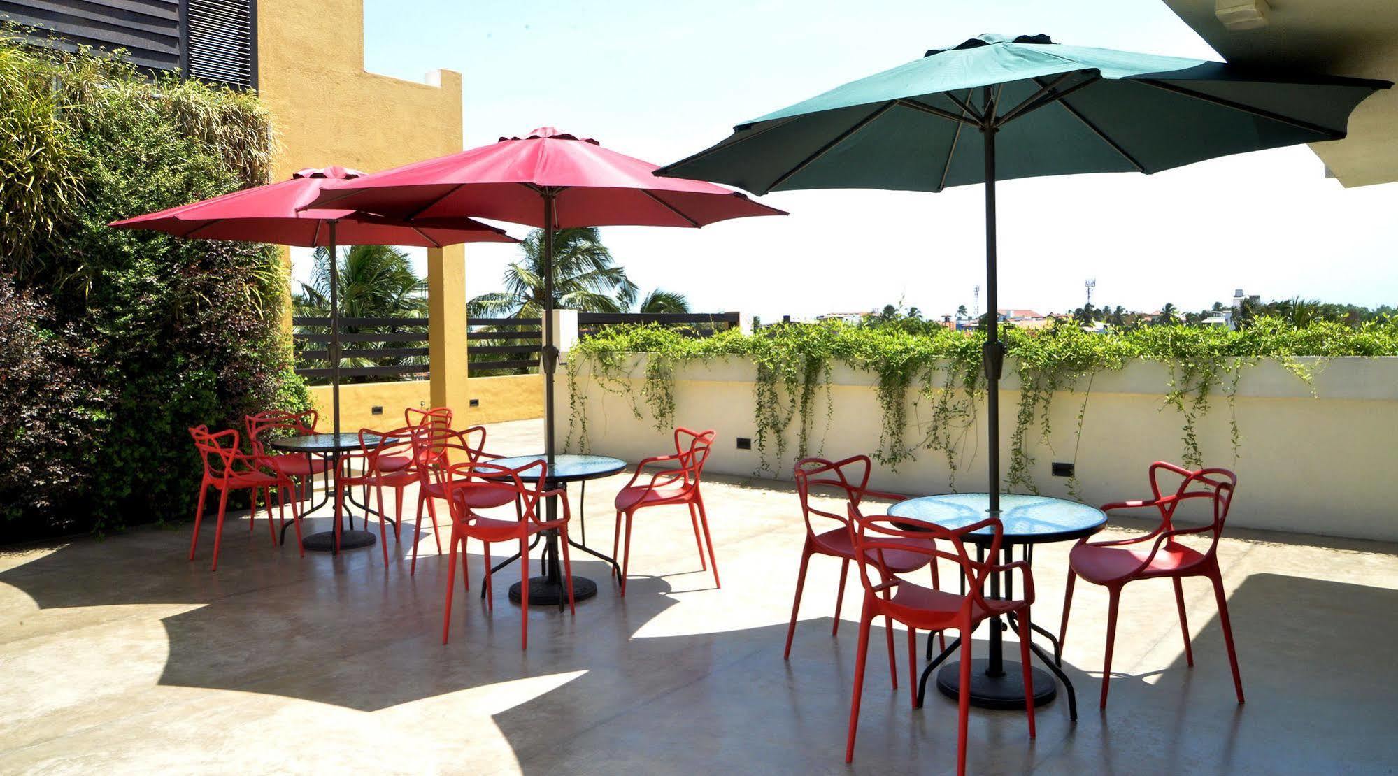 Terrace & होटल
